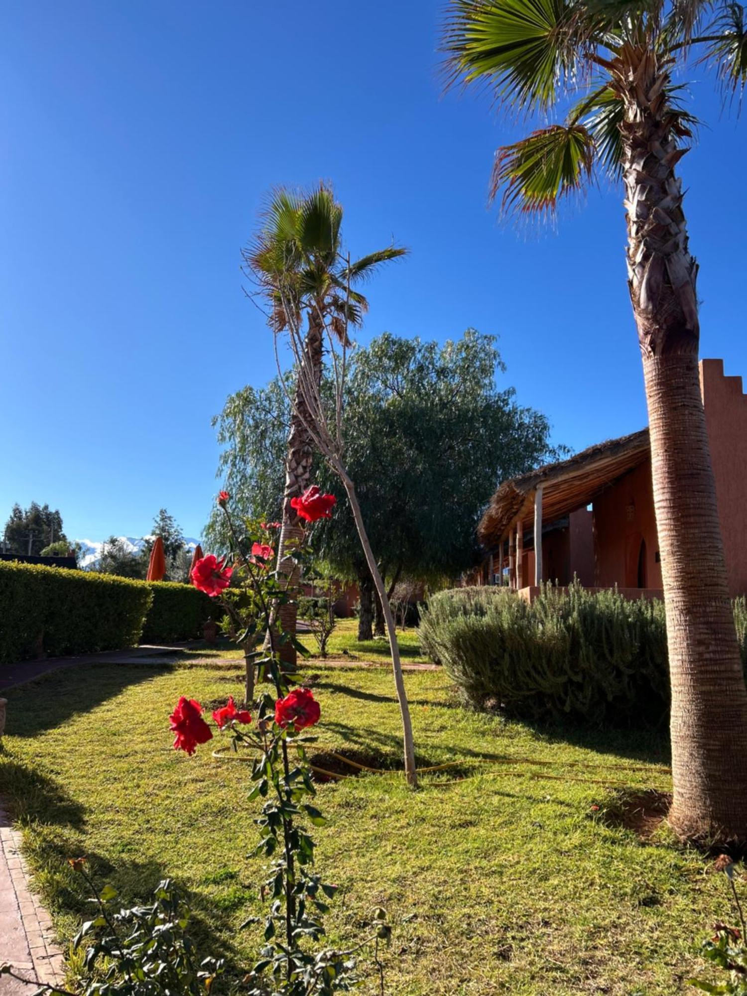 Les Orangers De L'Ourika Hotel Douar Akkara Exterior foto