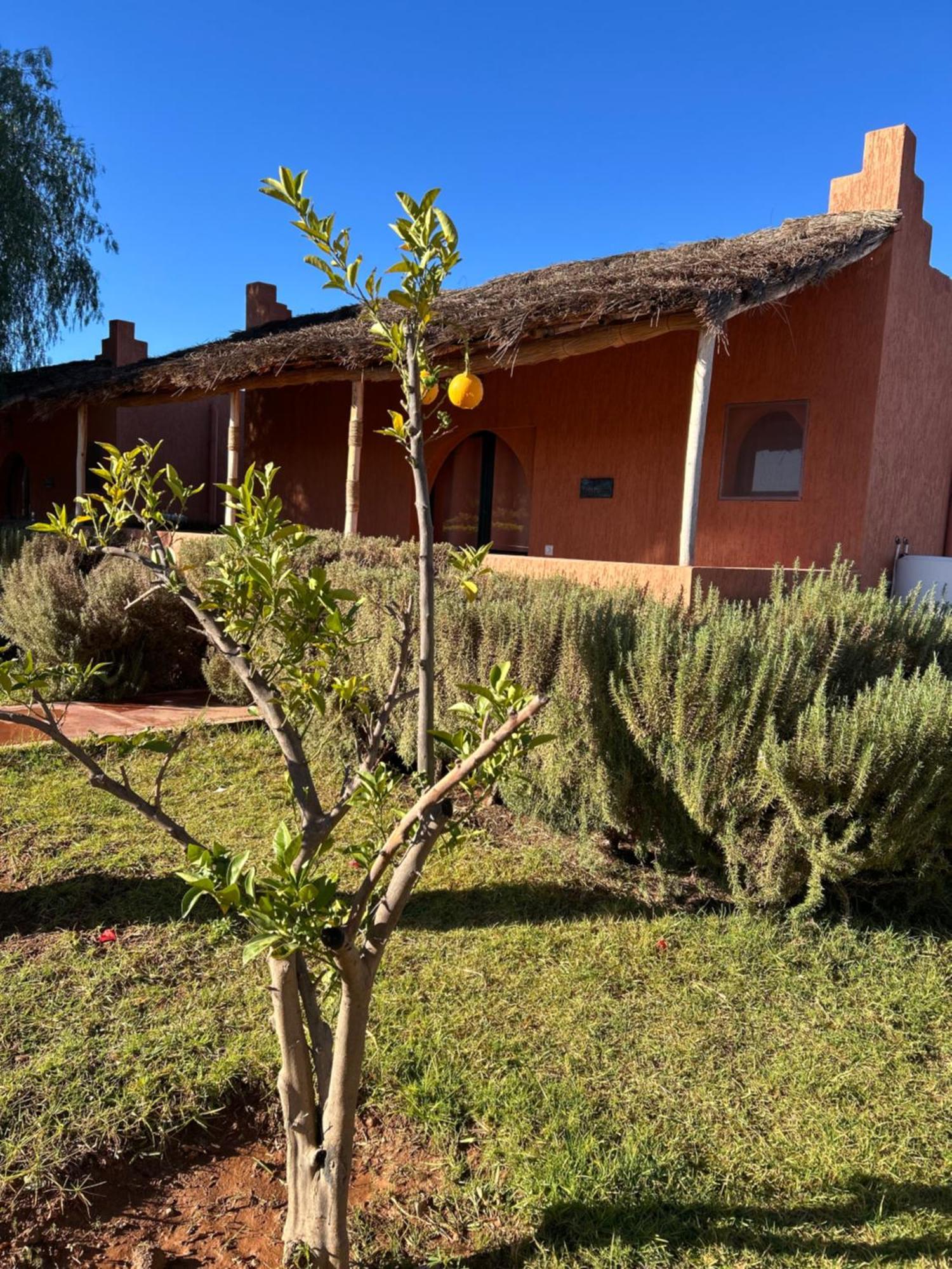 Les Orangers De L'Ourika Hotel Douar Akkara Exterior foto