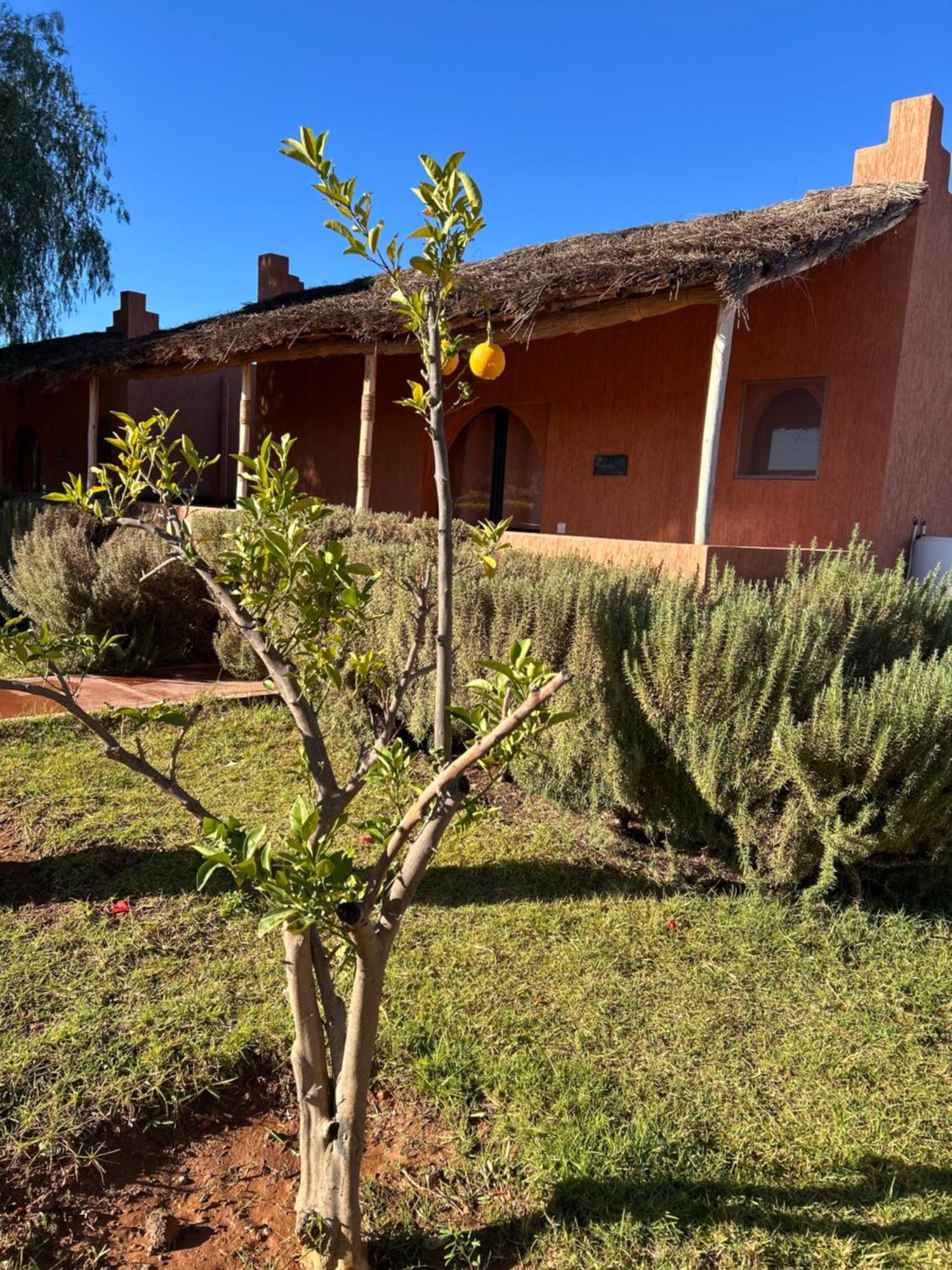 Les Orangers De L'Ourika Hotel Douar Akkara Exterior foto