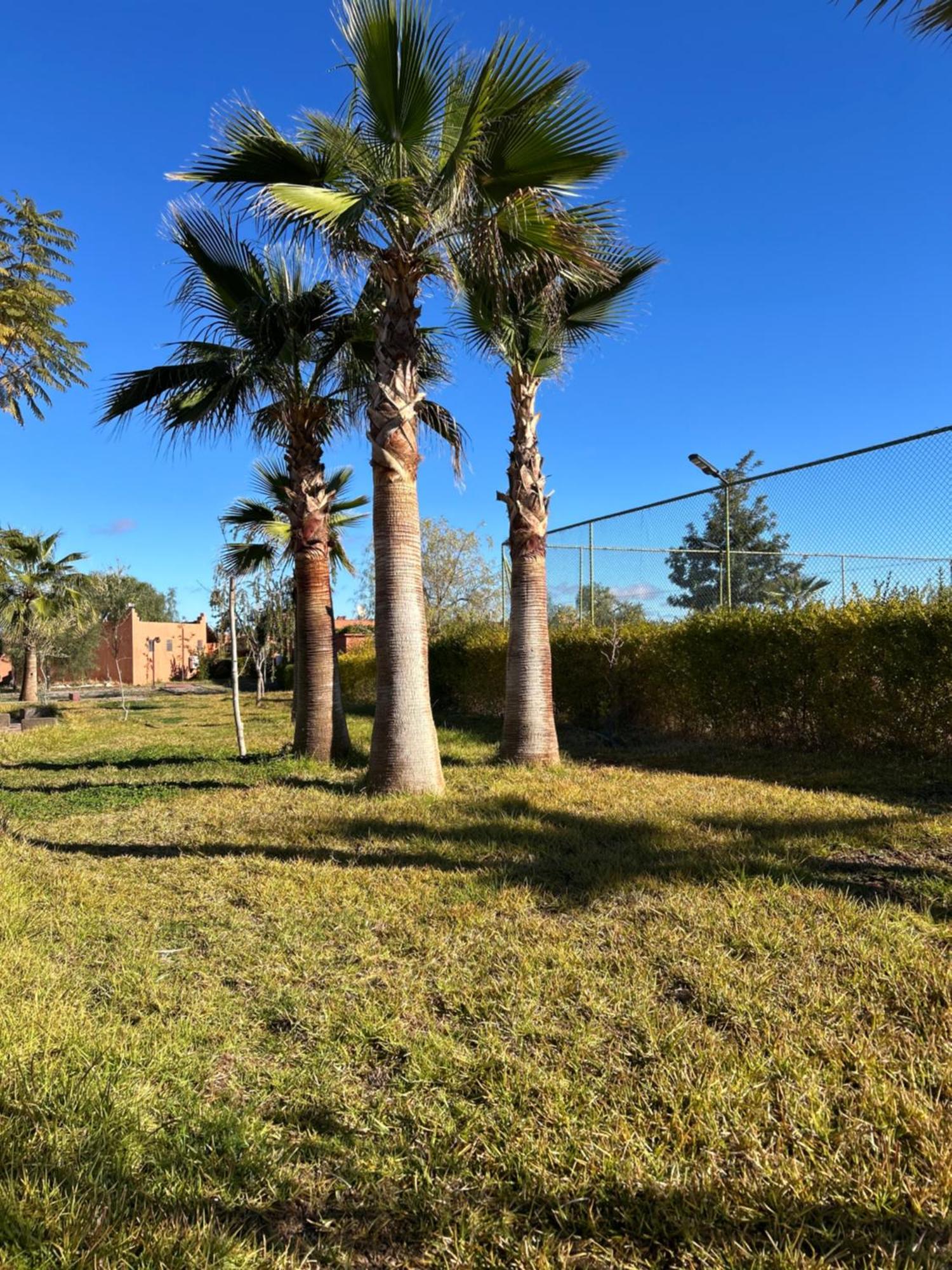 Les Orangers De L'Ourika Hotel Douar Akkara Exterior foto